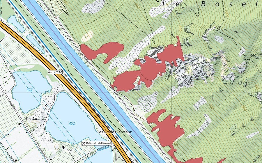 Landeskarte swisstopo mit dem Schutzperimeter von Les Follatères (Trockenwiese)