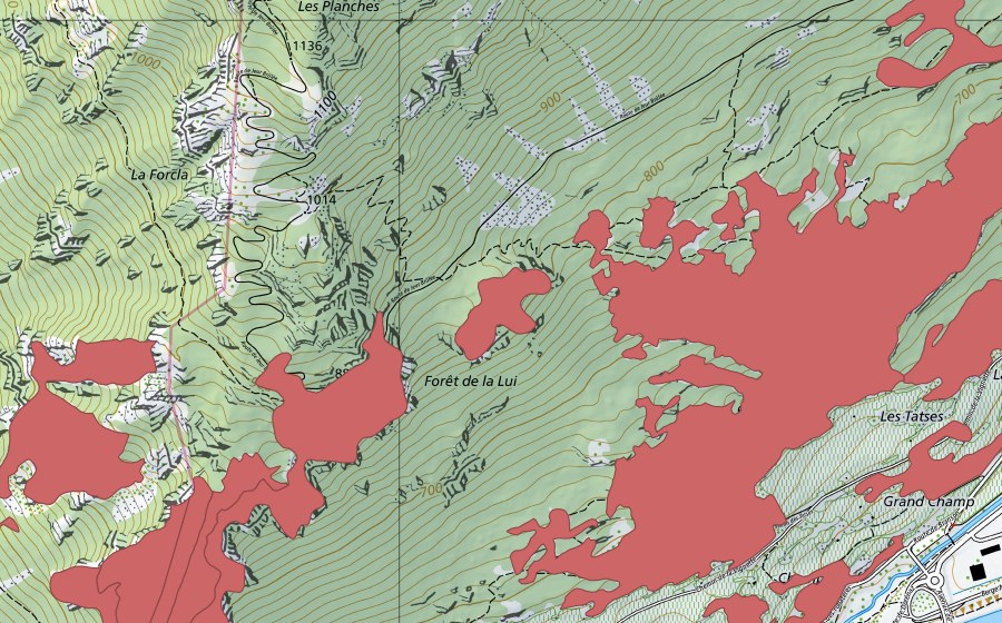 swisstopo national map showing the protected perimeter of Les Follatères (Dry meadow)