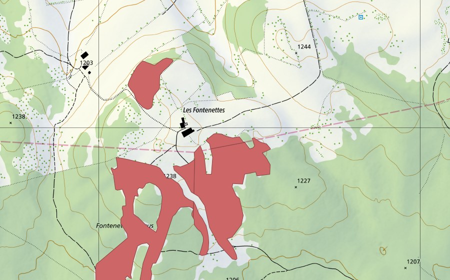 Landeskarte swisstopo mit dem Schutzperimeter von Les Fontenettes Dessus (Trockenwiese)