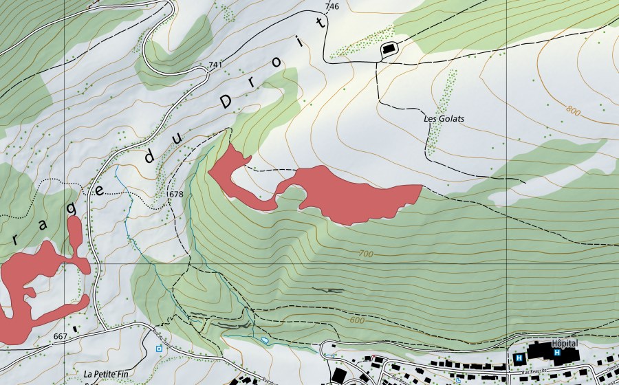 Landeskarte swisstopo mit dem Schutzperimeter von Les Golats (Trockenwiese)