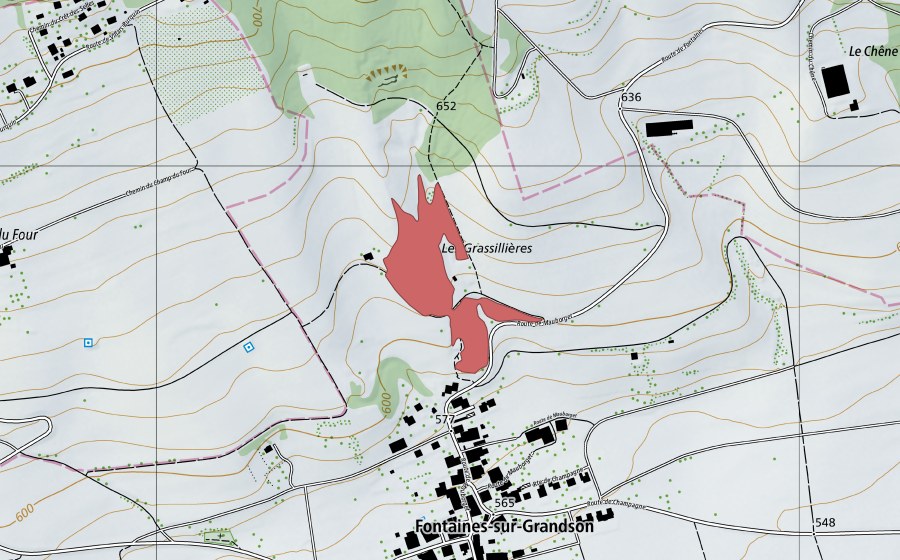 Landeskarte swisstopo mit dem Schutzperimeter von Les Grassillières (Trockenwiese)