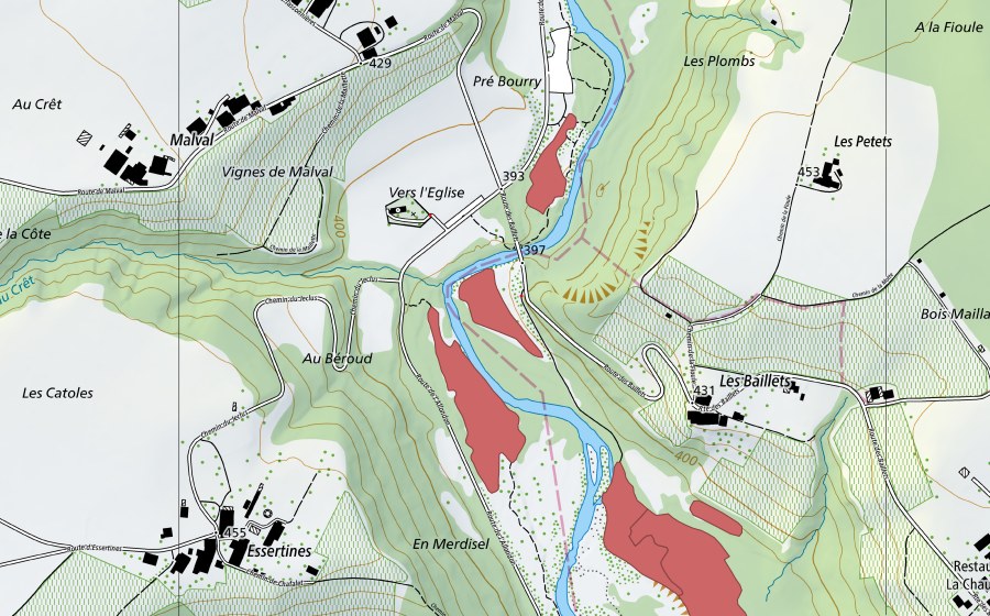 Landeskarte swisstopo mit dem Schutzperimeter von Les Îles (Trockenwiese)