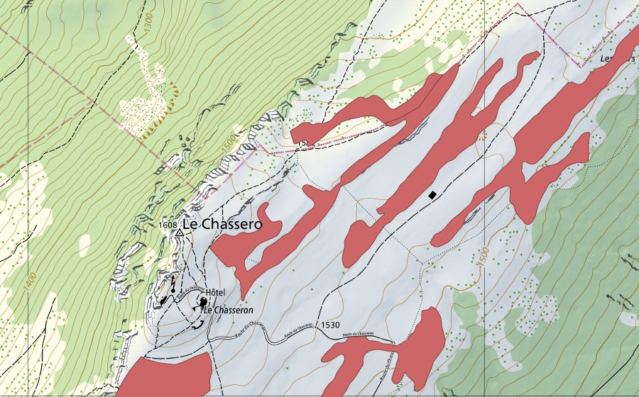 swisstopo national map showing the protected perimeter of Les Illars (Dry meadow)