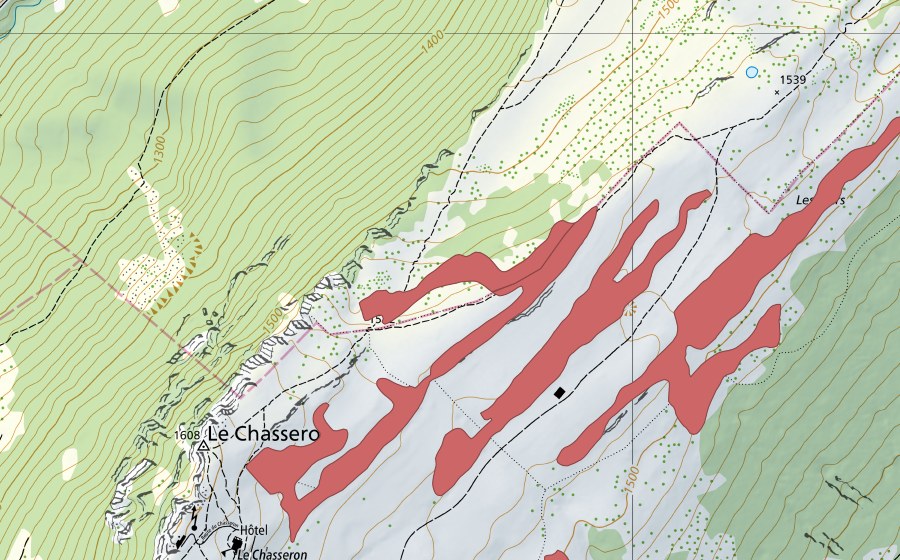 Landeskarte swisstopo mit dem Schutzperimeter von Les Illars (Trockenwiese)