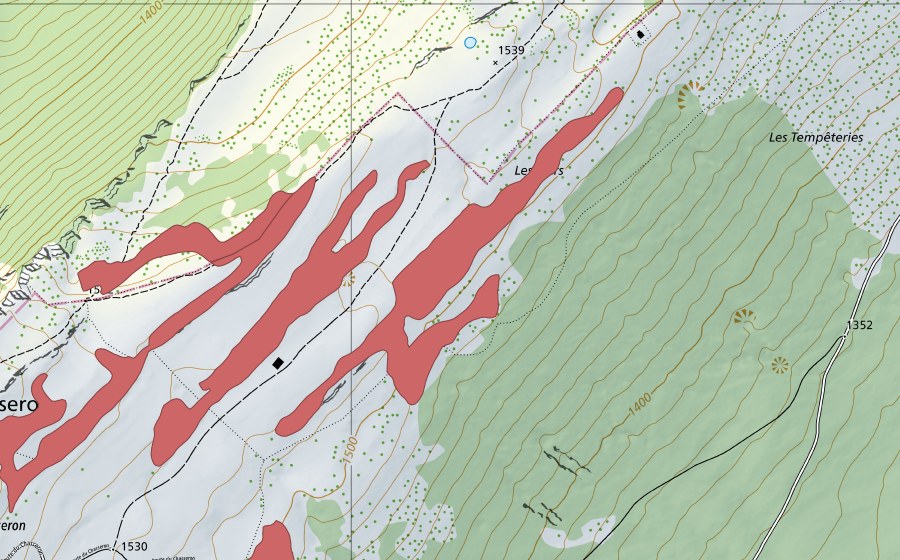 Landeskarte swisstopo mit dem Schutzperimeter von Les Illars (Trockenwiese)