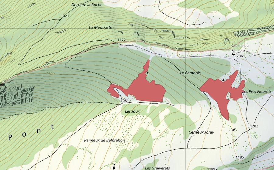 swisstopo national map showing the protected perimeter of Les Joux (Dry meadow)