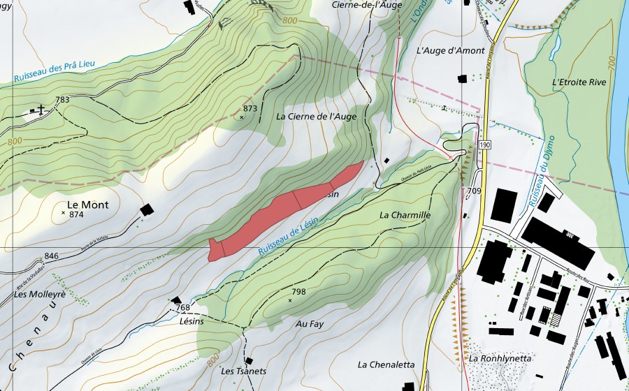 Landeskarte swisstopo mit dem Schutzperimeter von Les Lésins (Trockenwiese)
