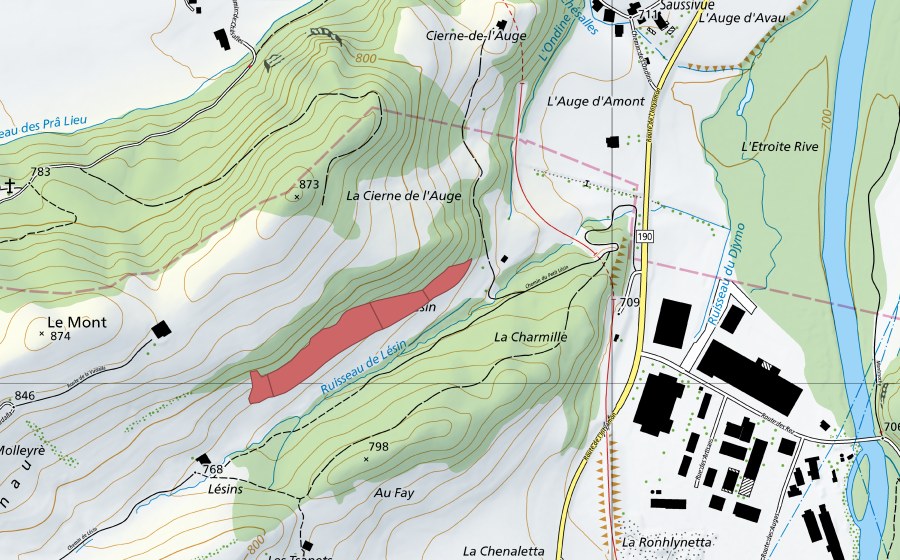 swisstopo national map showing the protected perimeter of Les Lésins (Dry meadow)