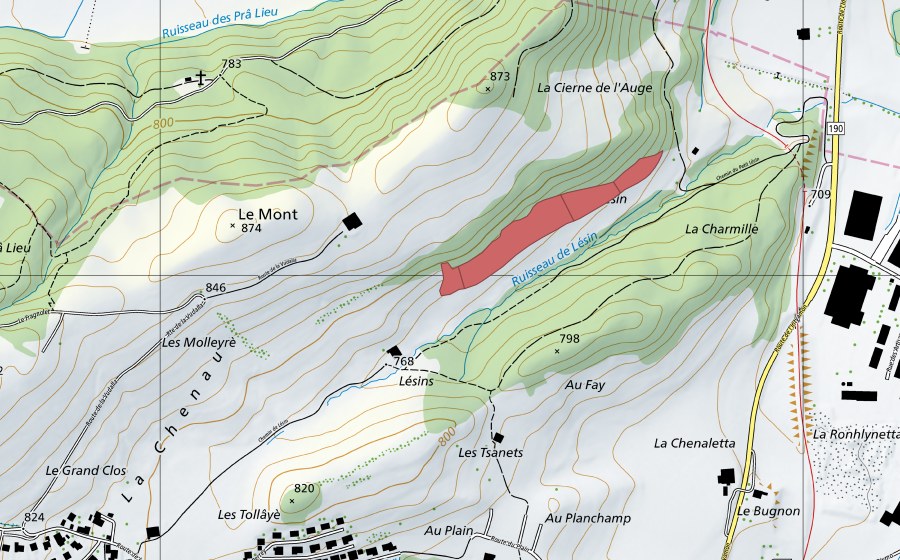 Carta nazionale swisstopo con il perimetro protetto di Les Lésins (Prato secco)