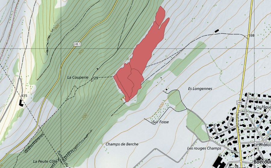 Landeskarte swisstopo mit dem Schutzperimeter von Les Longennes (Trockenwiese)