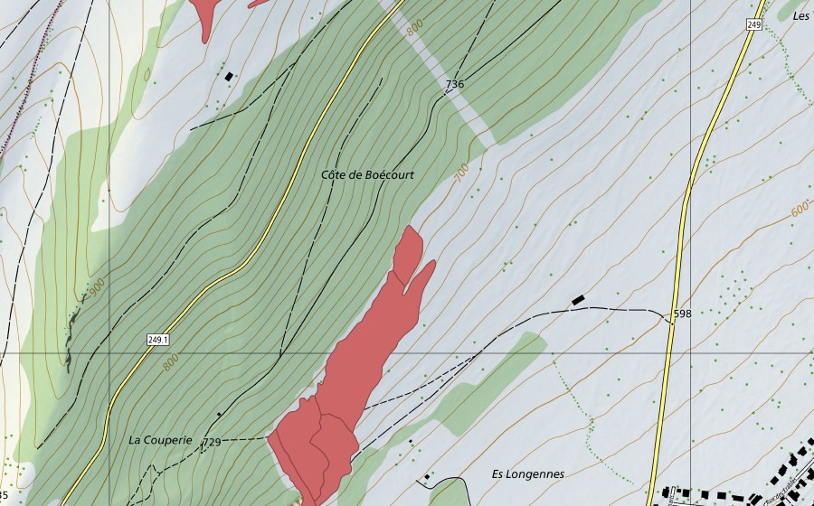 swisstopo national map showing the protected perimeter of Les Longennes (Dry meadow)