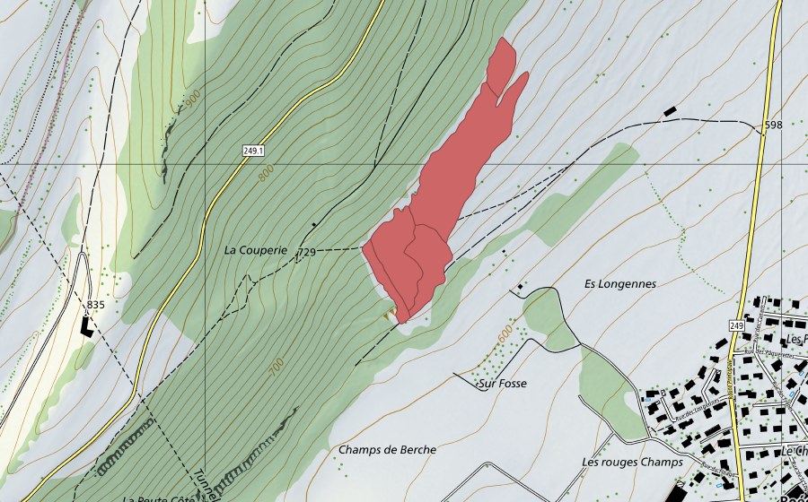 Carte nationale swisstopo avec le périmètre protégé de Les Longennes (Prairie sèche)