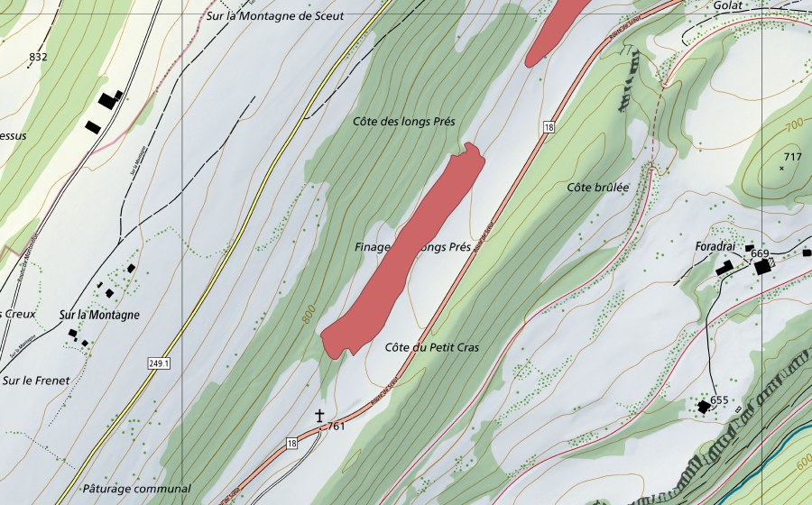 Landeskarte swisstopo mit dem Schutzperimeter von Les Longs Prés (Trockenwiese)