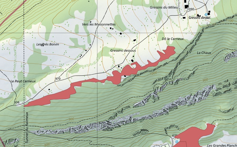 Landeskarte swisstopo mit dem Schutzperimeter von Les Maisonettes (Trockenwiese)