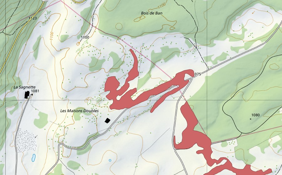 Carte nationale swisstopo avec le périmètre protégé de Les Maisons Doubles (Prairie sèche)