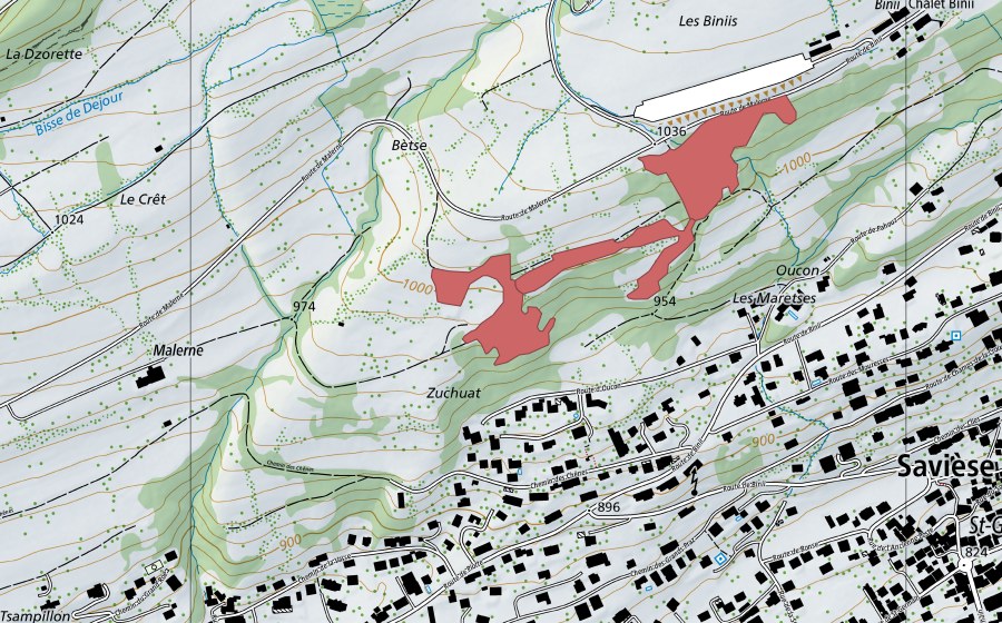 Carte nationale swisstopo avec le périmètre protégé de Les Maretses (Prairie sèche)