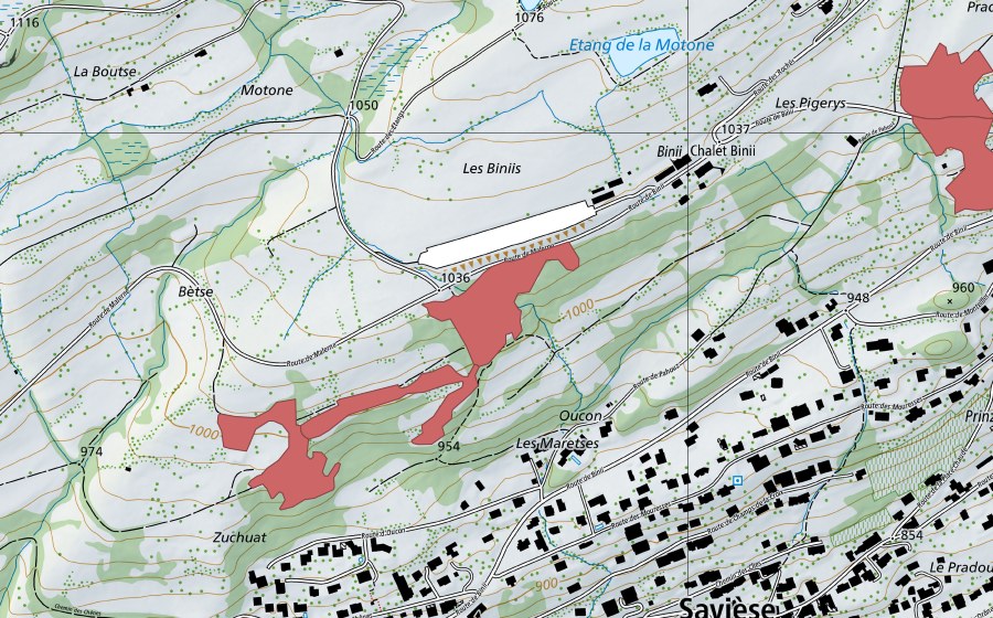 Landeskarte swisstopo mit dem Schutzperimeter von Les Maretses (Trockenwiese)