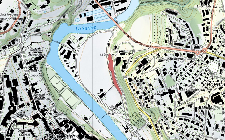 swisstopo national map showing the protected perimeter of Les Neigles (Dry meadow)