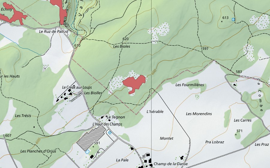 Landeskarte swisstopo mit dem Schutzperimeter von Les Piauliauses (Trockenwiese)