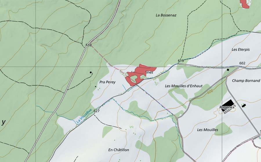 Landeskarte swisstopo mit dem Schutzperimeter von Les Piauliauses (Trockenwiese)