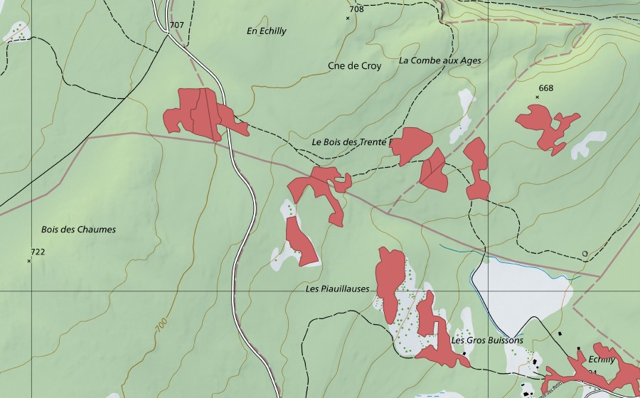 Landeskarte swisstopo mit dem Schutzperimeter von Les Piauliauses (Trockenwiese)