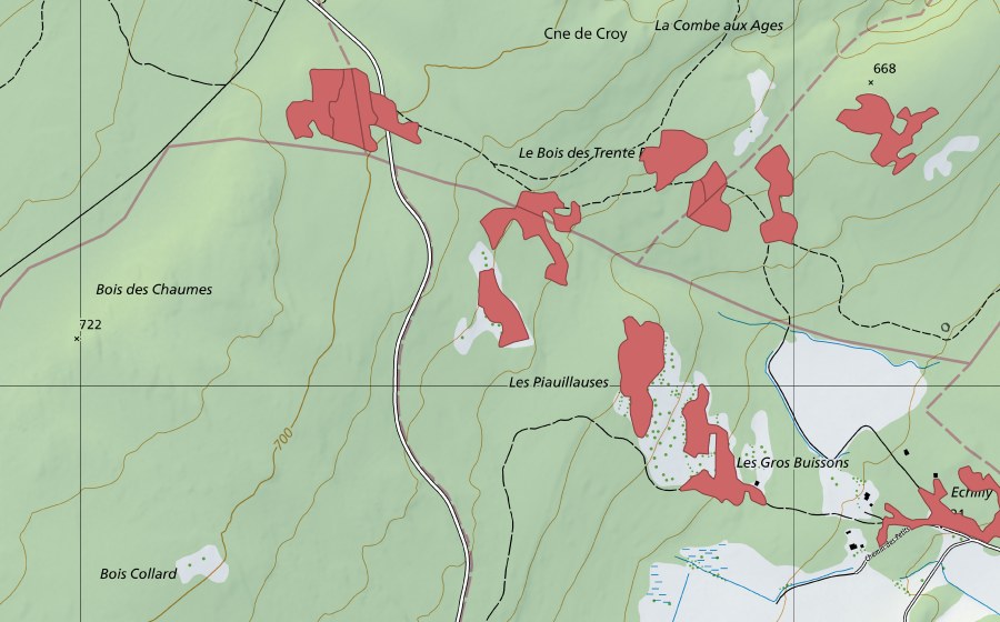 swisstopo national map showing the protected perimeter of Les Piauliauses (Dry meadow)