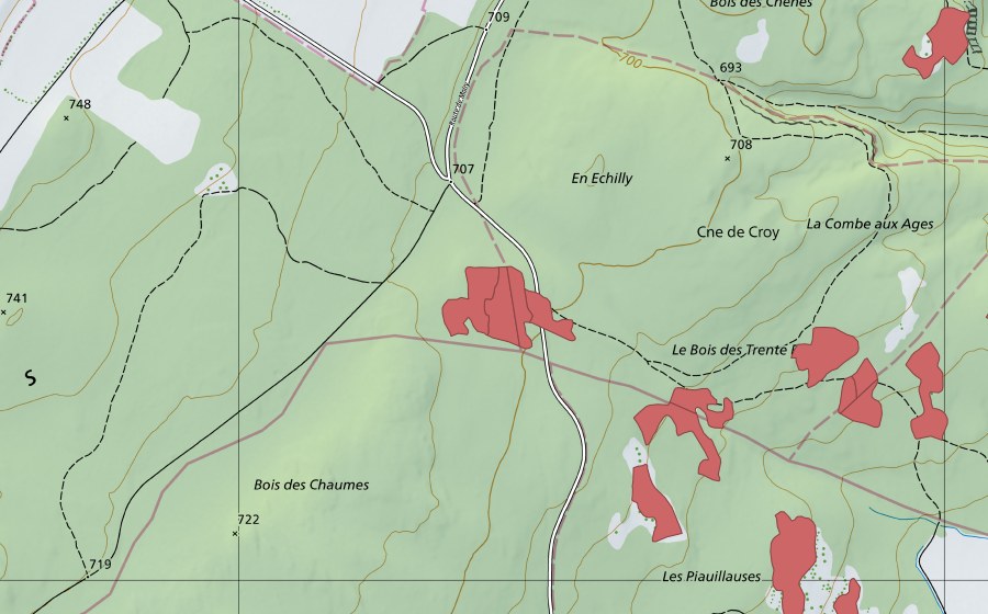 Carte nationale swisstopo avec le périmètre protégé de Les Piauliauses (Prairie sèche)