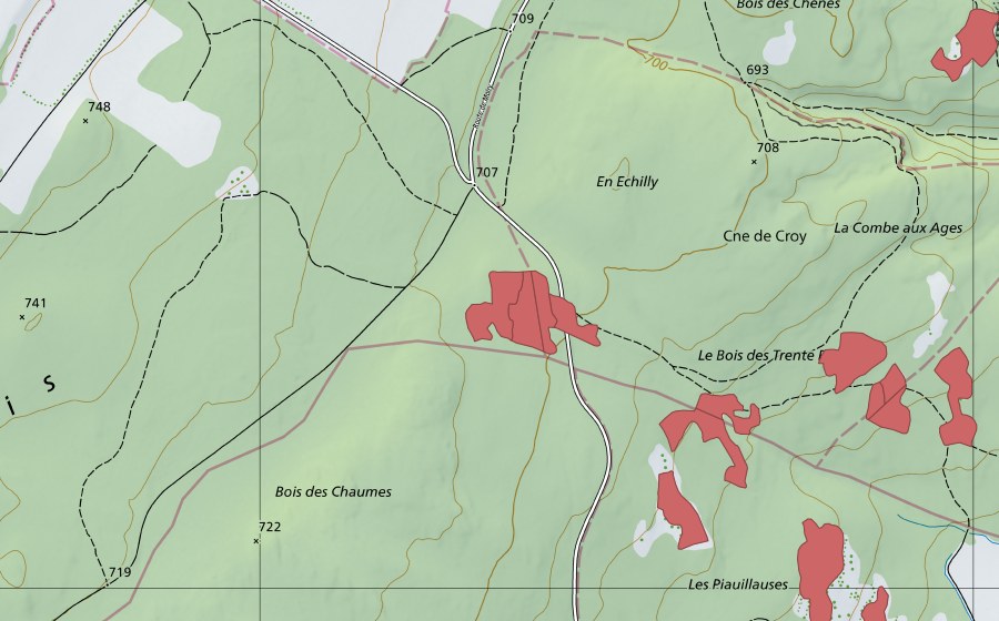 swisstopo national map showing the protected perimeter of Les Piauliauses (Dry meadow)