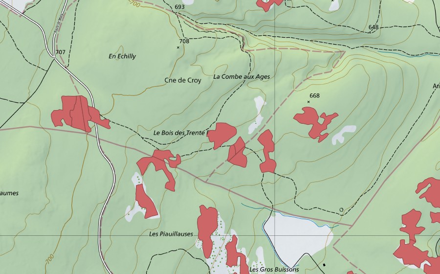 Landeskarte swisstopo mit dem Schutzperimeter von Les Piauliauses (Trockenwiese)