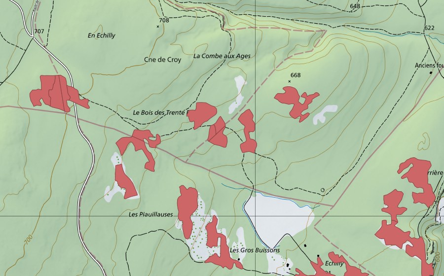 Carte nationale swisstopo avec le périmètre protégé de Les Piauliauses (Prairie sèche)