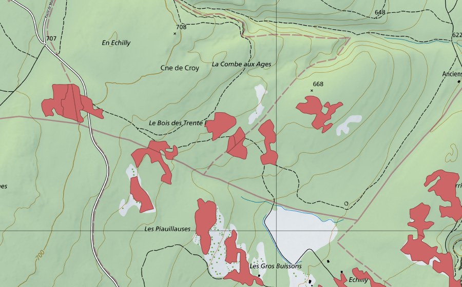 Landeskarte swisstopo mit dem Schutzperimeter von Les Piauliauses (Trockenwiese)