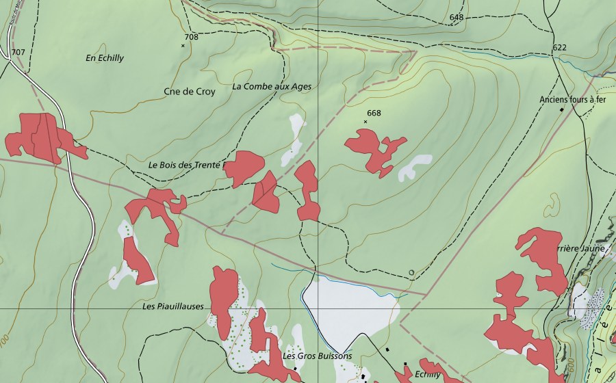 swisstopo national map showing the protected perimeter of Les Piauliauses (Dry meadow)
