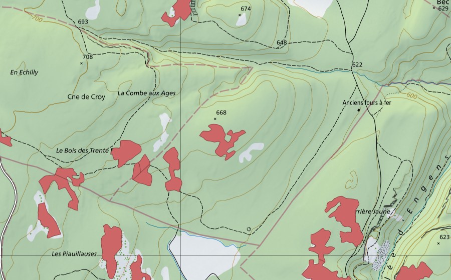 swisstopo national map showing the protected perimeter of Les Piauliauses (Dry meadow)