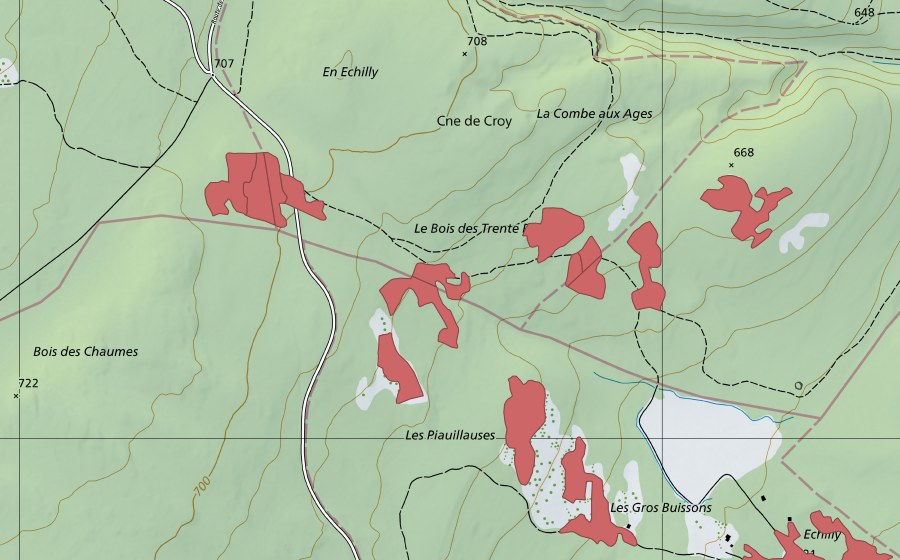 Landeskarte swisstopo mit dem Schutzperimeter von Les Piauliauses (Trockenwiese)