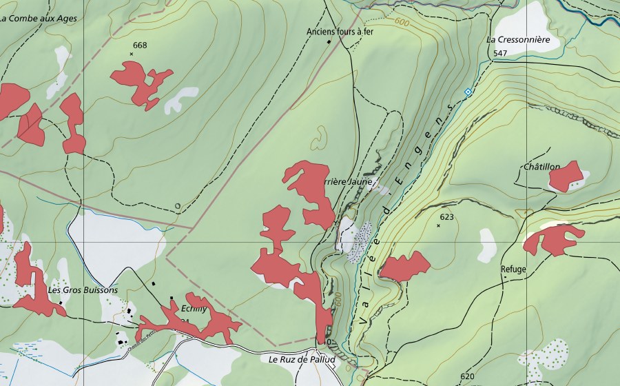swisstopo national map showing the protected perimeter of Les Piauliauses (Dry meadow)