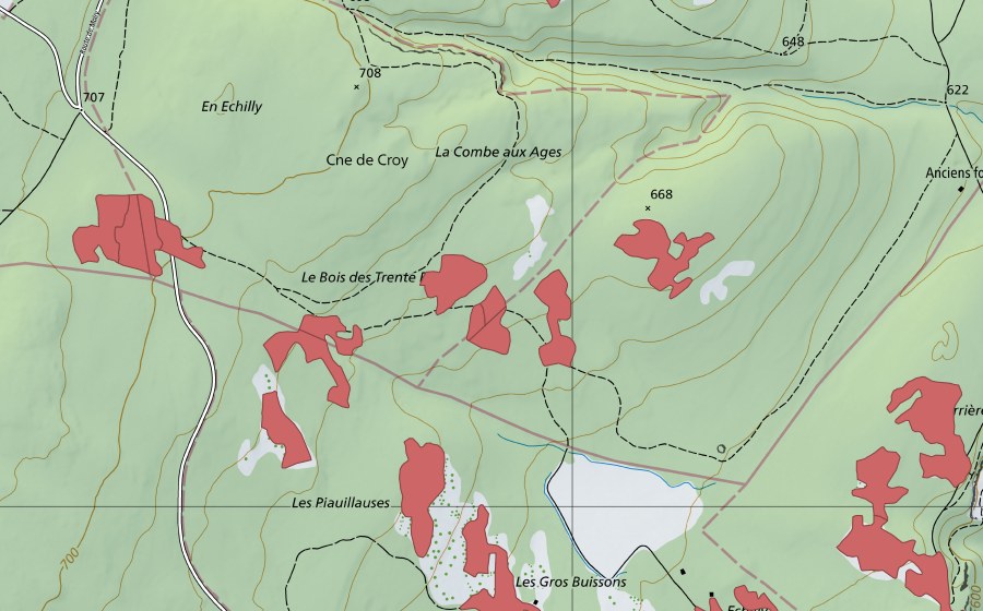 Carte nationale swisstopo avec le périmètre protégé de Les Piauliauses (Prairie sèche)