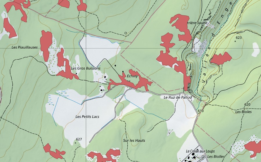 Carte nationale swisstopo avec le périmètre protégé de Les Piauliauses (Prairie sèche)