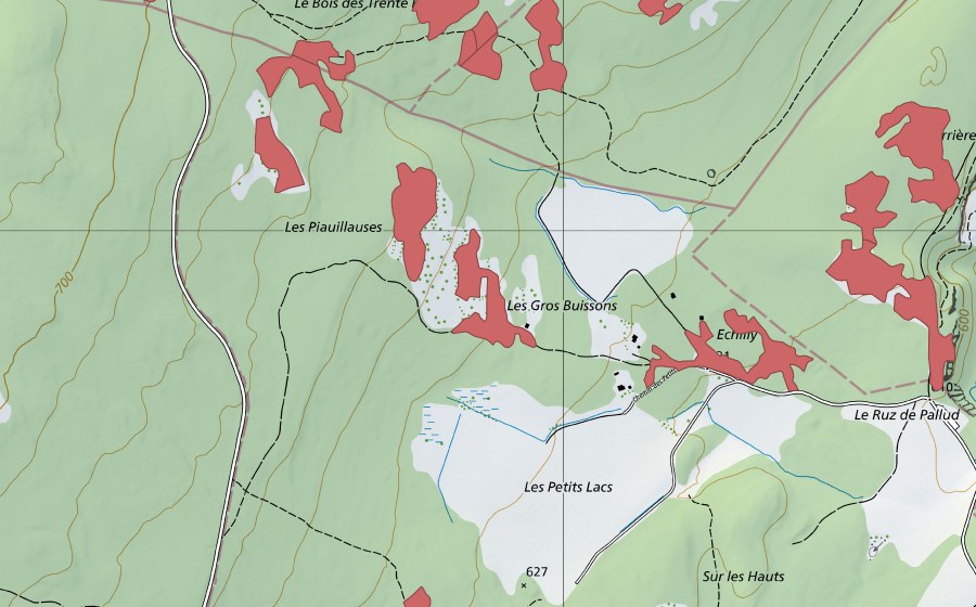 Carte nationale swisstopo avec le périmètre protégé de Les Piauliauses (Prairie sèche)