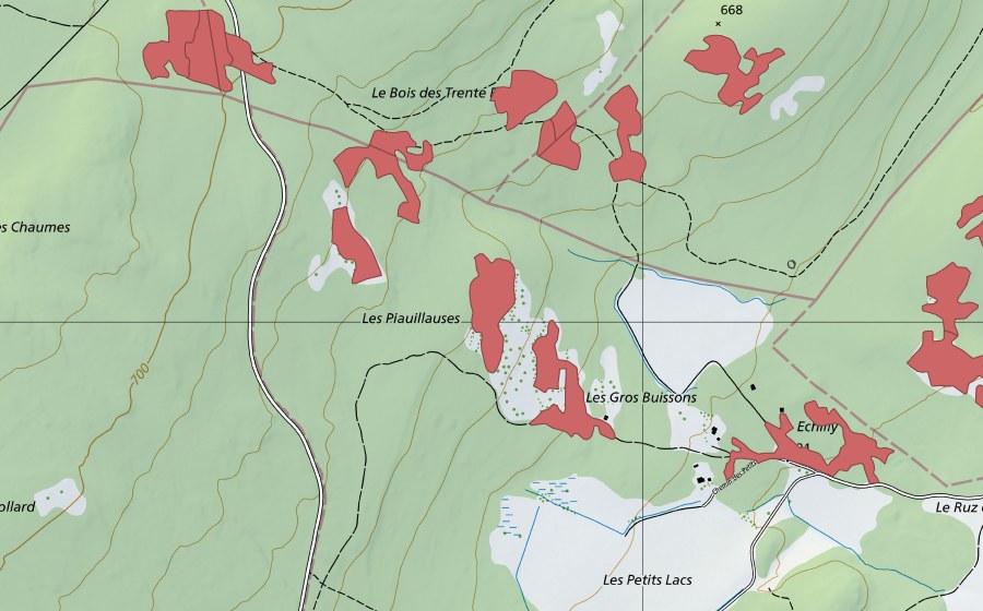 swisstopo national map showing the protected perimeter of Les Piauliauses (Dry meadow)