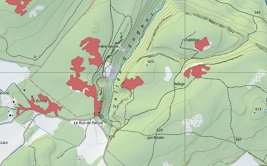 swisstopo national map showing the protected perimeter of Les Piauliauses (Dry meadow)
