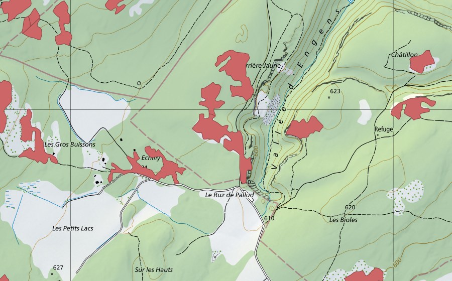 Landeskarte swisstopo mit dem Schutzperimeter von Les Piauliauses (Trockenwiese)