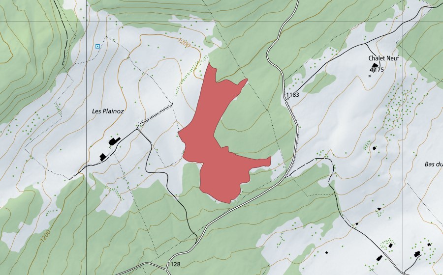 Landeskarte swisstopo mit dem Schutzperimeter von Les Plainoz (Trockenwiese)