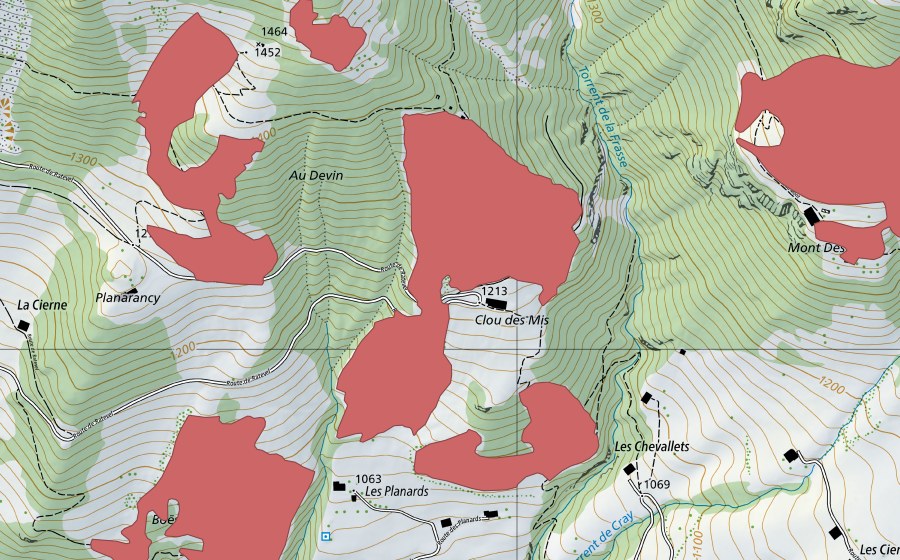Landeskarte swisstopo mit dem Schutzperimeter von Les Planards (Trockenwiese)