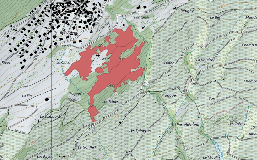 swisstopo national map showing the protected perimeter of Les Planches (Dry meadow)