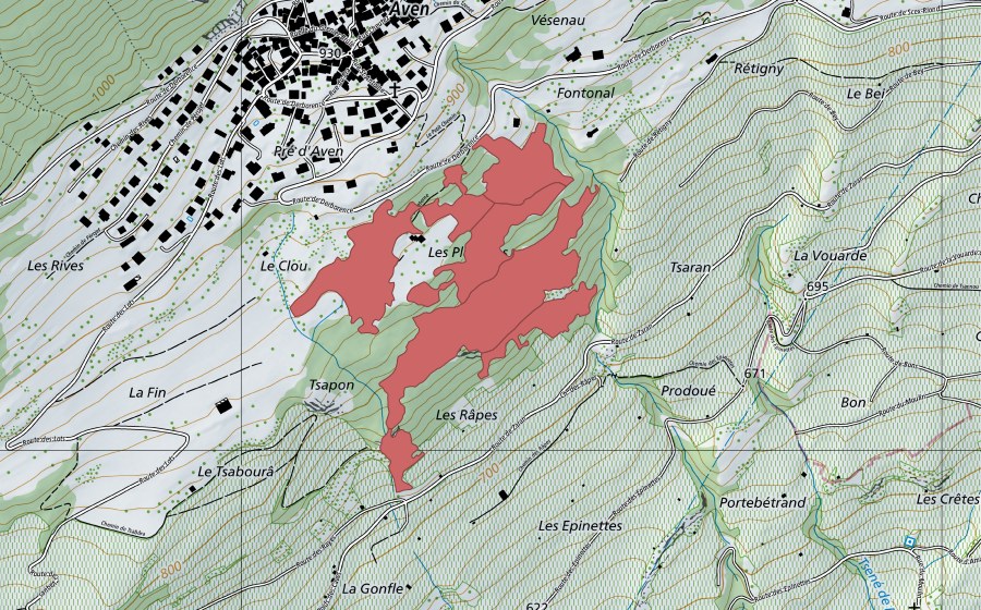 swisstopo national map showing the protected perimeter of Les Planches (Dry meadow)