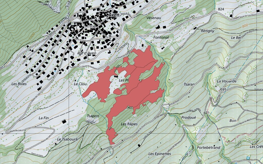 Landeskarte swisstopo mit dem Schutzperimeter von Les Planches (Trockenwiese)