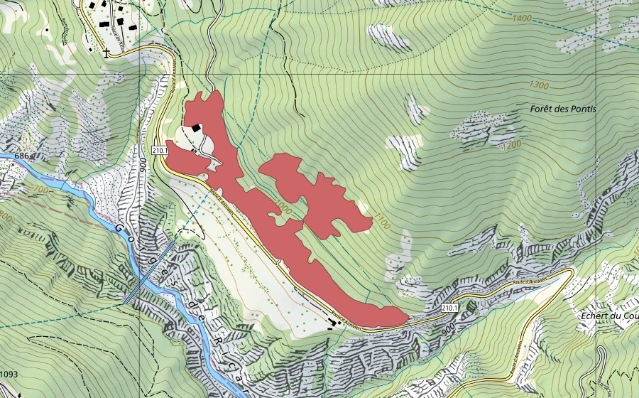 swisstopo national map showing the protected perimeter of Les Pontis (Dry meadow)