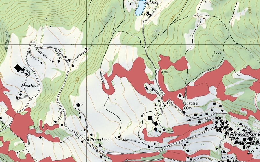 Landeskarte swisstopo mit dem Schutzperimeter von Les Posses (Trockenwiese)
