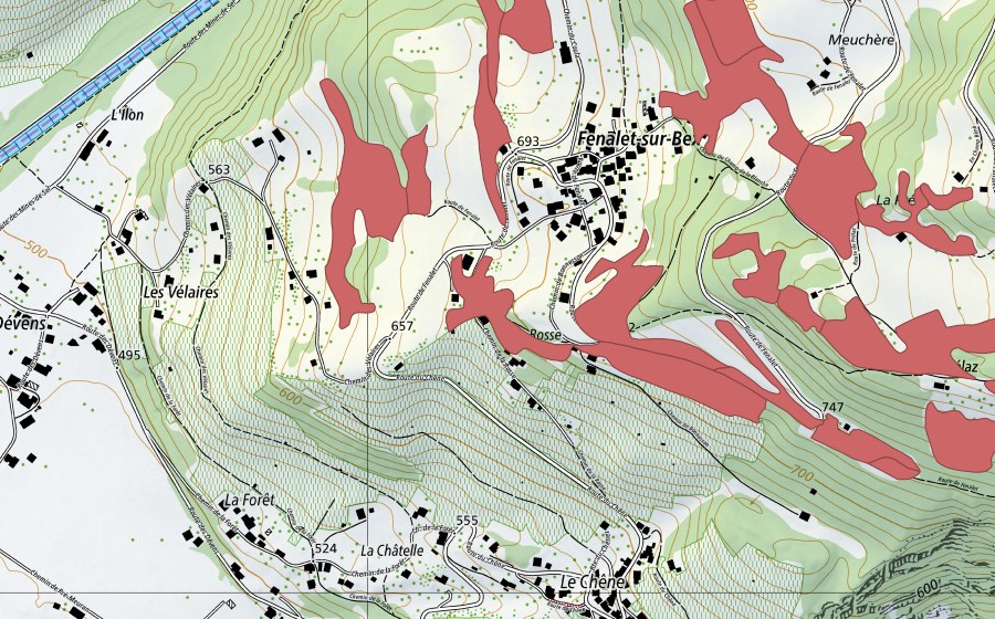 Landeskarte swisstopo mit dem Schutzperimeter von Les Posses (Trockenwiese)