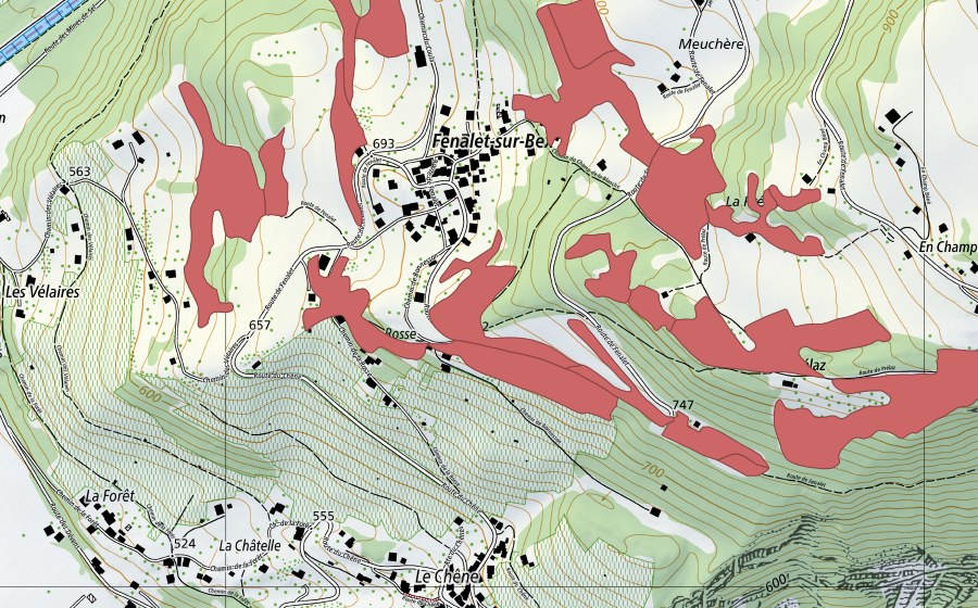 Landeskarte swisstopo mit dem Schutzperimeter von Les Posses (Trockenwiese)